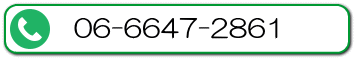 06-6647-2861